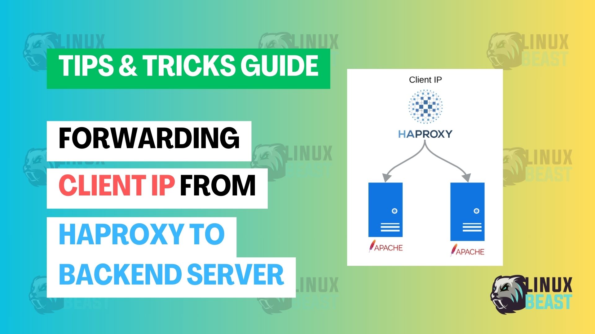forwarding client ip from haproxy to backend apache2 server