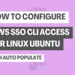 How to Configure AWS SSO CLI Access for Linux Ubuntu with Auto Populate Profile