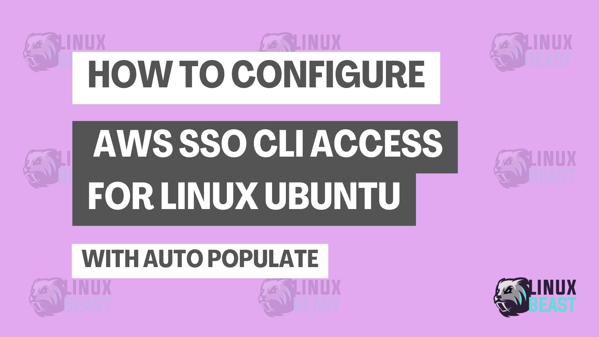 How to Configure AWS SSO CLI Access for Linux Ubuntu with Auto Populate Profile