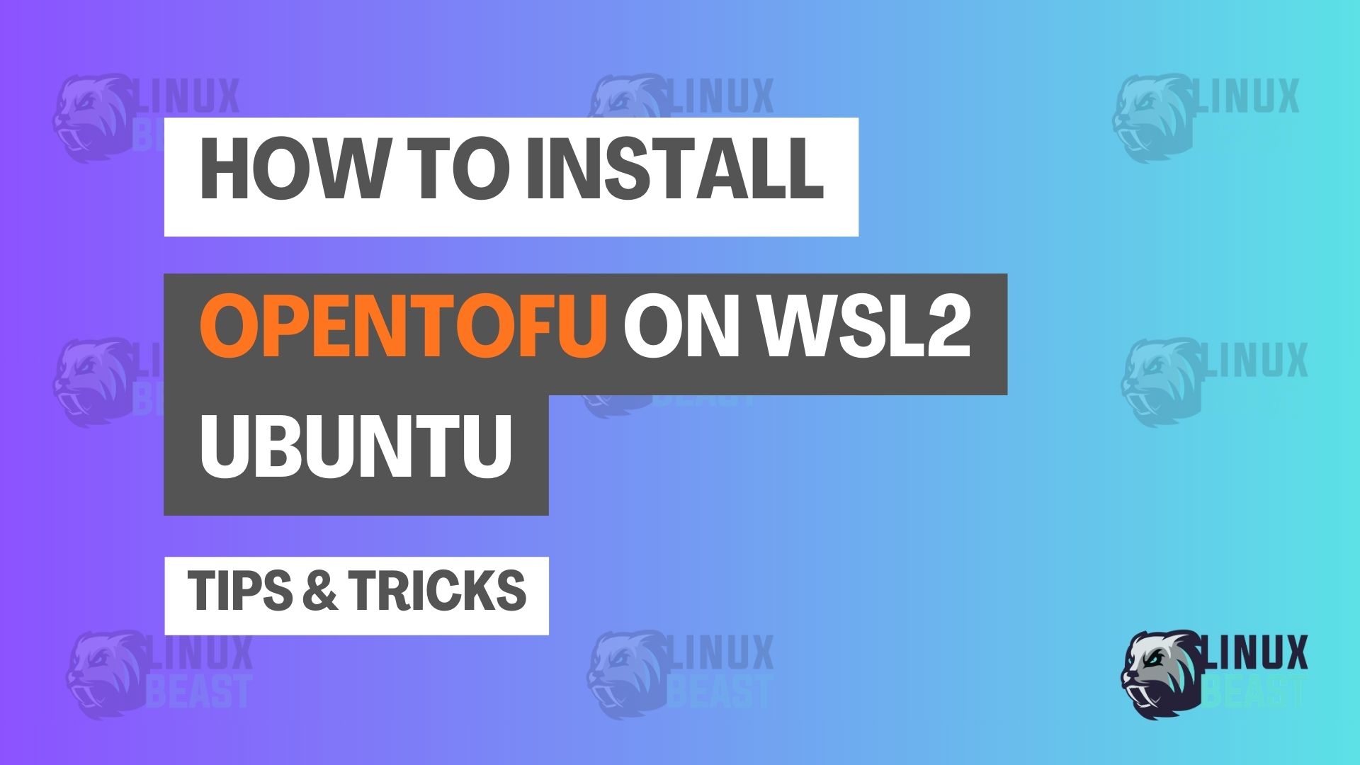 How to Install OpenTofu on WSL2 Ubuntu